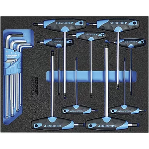 GEDORE Winkelschraubendreher-Satz 2005 CT2-DT 2142 in 2/4 CT-Modul 17-tlg