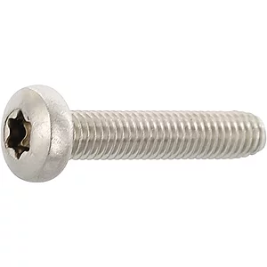 DIN7500PE (CT) Torx 20 M 4x 10 Edelstahl A2 gewindefurchende Linsenschraube