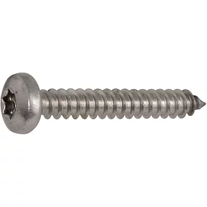 DIN7981C 4.8x100 Torx25 verzinkt Linsen-Blechschraube ~ISO14585