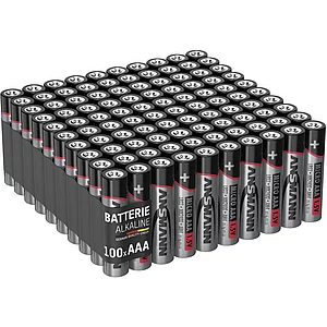 ANSMANN Batterie Micro LR03/AAA 1,5 Volt 100 Stück