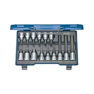 GEDORE Schraubendreher-Einsatz-Satz IN19LKM 1/2"vierkant 15-teilig