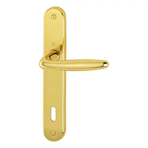 HOPPE Drückergarnitur ROISSY - auf Schild BB 90, Messing poliert lackiert