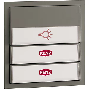 Tastenmodul für Renz-Frontplatte, m. 1 Licht- u. 2 Klingeltaster,Kunststoff grau