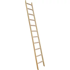 JUST Holz Sprossen-Anlegeleiter Sprossen=9 Länge=2,8 m