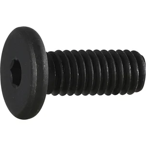 Zylinderschraube mit extrem niedrigem Kopf M 5x 10 Güte 10.9