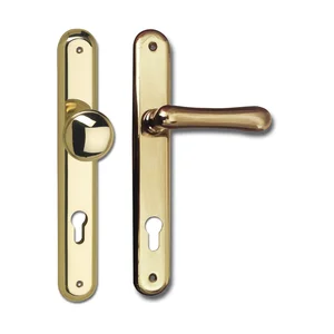 Haustürwechselgt. ELEGANT 22 - auf Langschild PZ88, Messing poliert