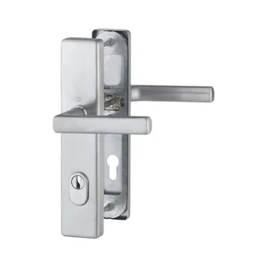 SH-Drückergarnitur DALLAS-auf LS PZ88, 57-67, mit Kzs., Edst matt, RC2