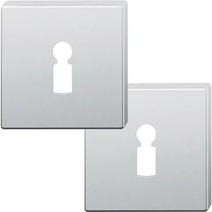 FSB Buntbartrosette quadratisch 12 1704 00002 ASL, Edelstahl matt