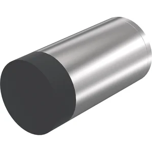 KWS Wandtürpuffer 2072, ø 30 mm, Länge 100 mm, Edelstahl matt