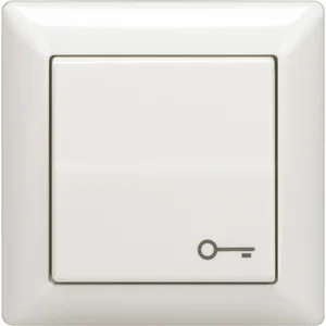 Türöffnertaster 1012 mit Schlüsselsymbol, Unterputz, Kunststoff weiß