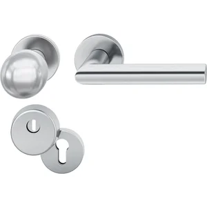 FSB Haustürwechselgarnitur 12 1076 mit Kernziehschutz, Edelstahl matt