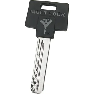 MUL-T-LOCK Schlüssel für Container-Sicherung & Vorhangschloss,Profil Classic062C