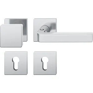 FSB Wechselgarnitur 12 1004 ASL auf Rosette PZ, Edelstahl matt