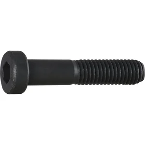 DIN6912 08.8 M 5x 60 blank Zylinderschraube niedriger Kopf und Innensechskt.