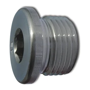 DIN908 G 1 3/4" Edelstahl A2 Verschlussschraube zylindrisches Gasgewinde