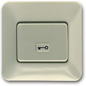 Türöffnertaster 1011 mit Schlüsselsymbol, Unterputz, Kunststoff weiß